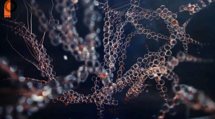 موتور رندر Redshift 3.5.16